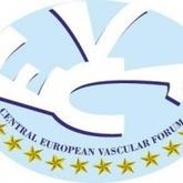 cevf logo